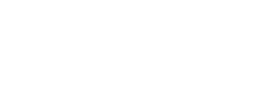 performics